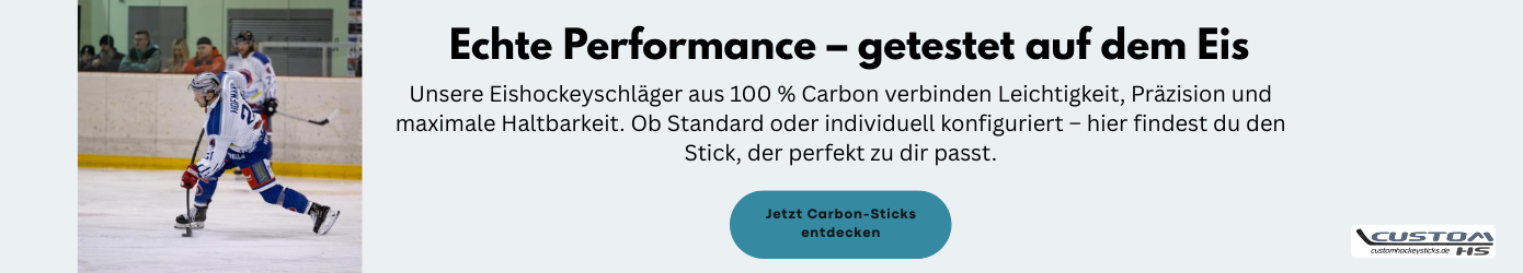 Eishockeyschläger kaufen